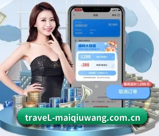 AI 革新(maiqiuwang)